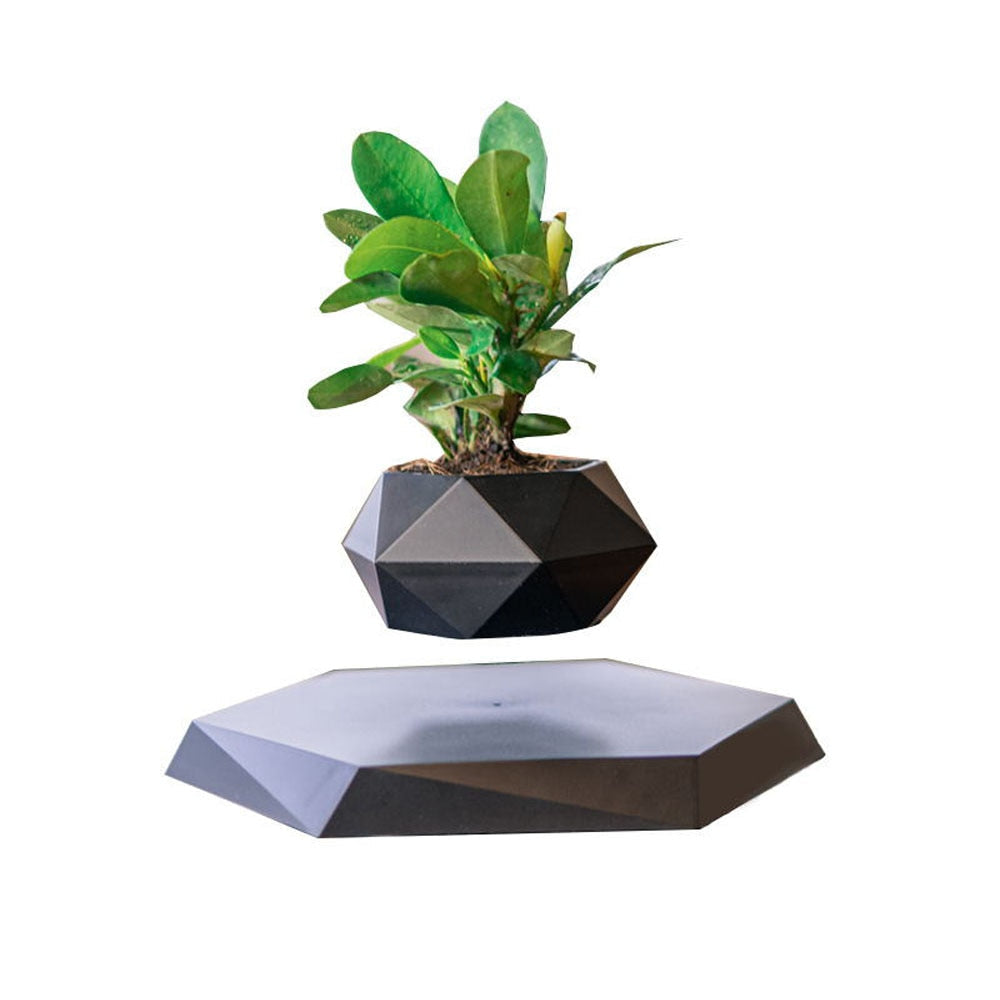 Floating Plant Stand Home Decor