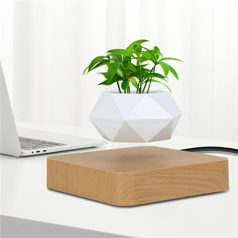 Floating Plant Stand Home Decor