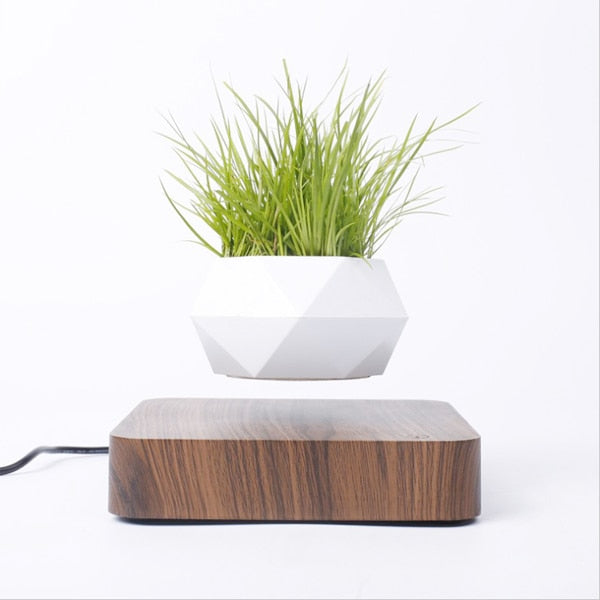 Floating Plant Stand Home Decor
