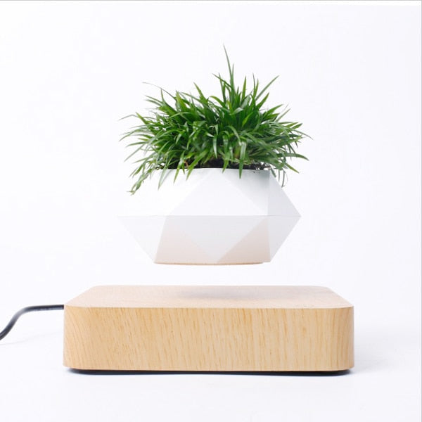 Floating Plant Stand Home Decor