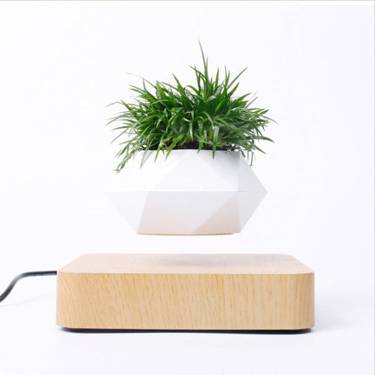 Floating Plant Stand Home Decor