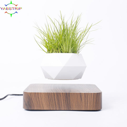 Floating Plant Stand Home Decor
