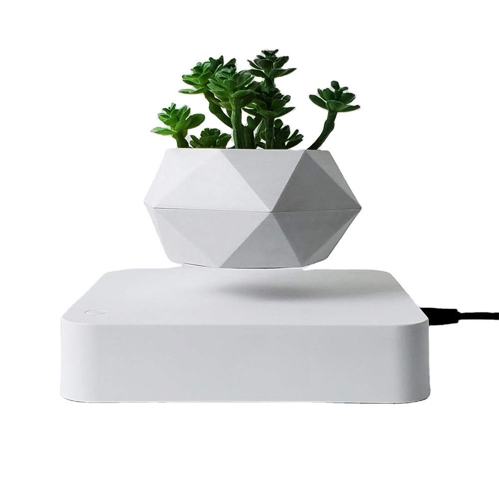 Floating Plant Stand Home Decor